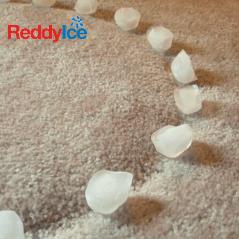 Fix a Carpet Dent with Ice