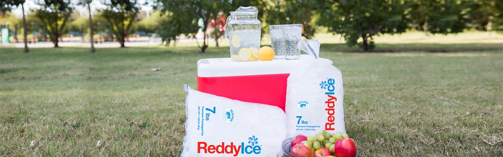 Reddy Ice with Freezer for Outdoor Event