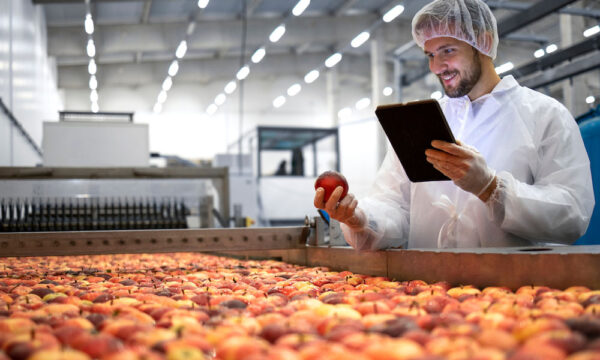 Food For Less Ice Reddy Ice for Sale | Ice Store & Supplier | Reddy Ice Partner